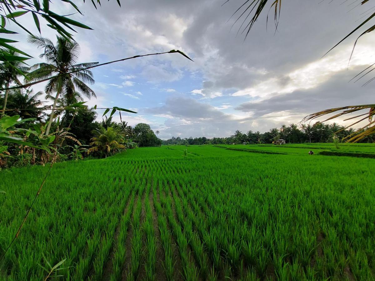 Shivananda Antique Villas By Eps Ubud Exterior foto